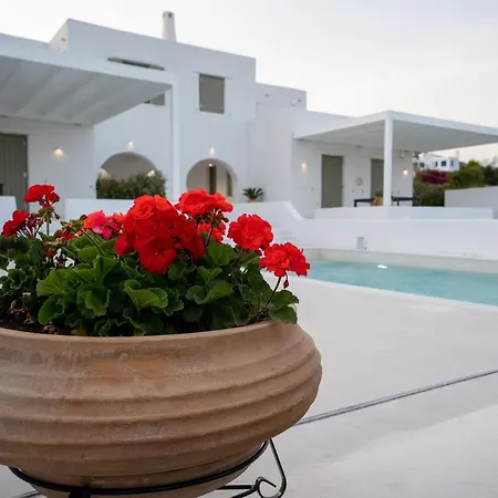 Paros Breeze Odyssey * Дриос